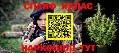 мдпв Гусь-Хрустальный