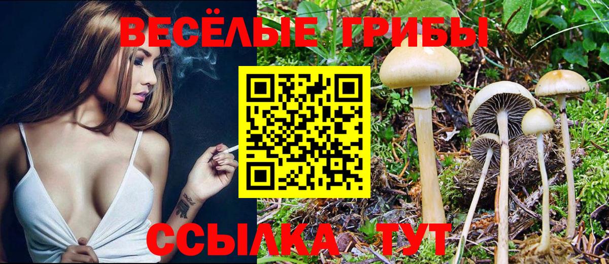 Псилоцибиновые грибы мицелий Лесосибирск